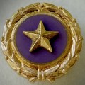 How does the government know if you have gold?